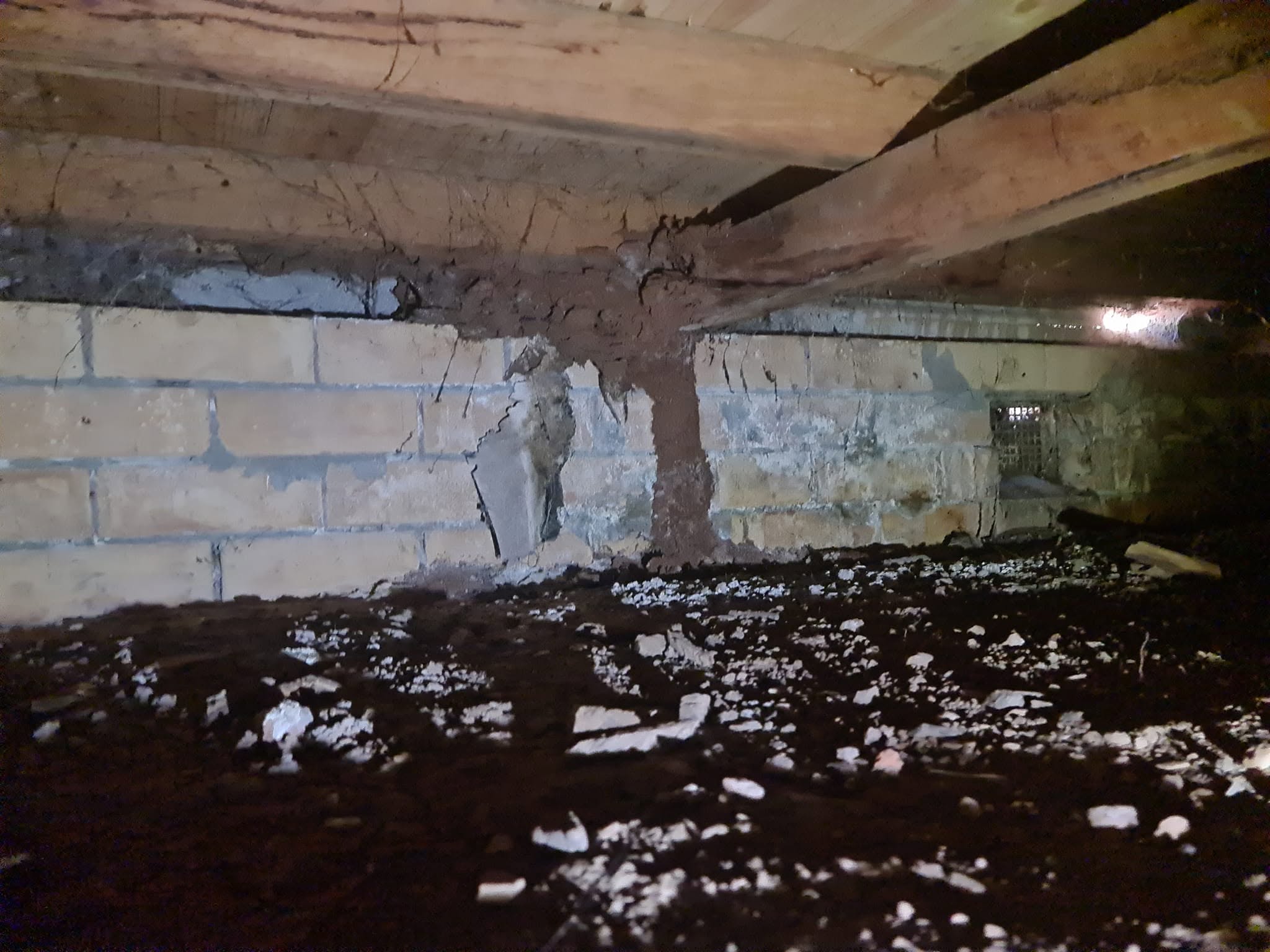 Pre-Purchase Pest Inspections
